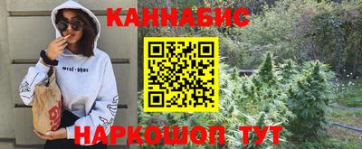 Альфа ПВП Моздок