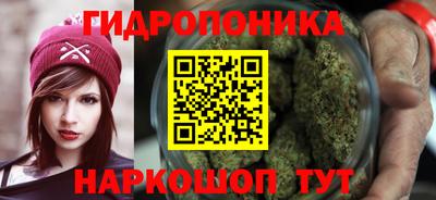 Альфа ПВП Моздок